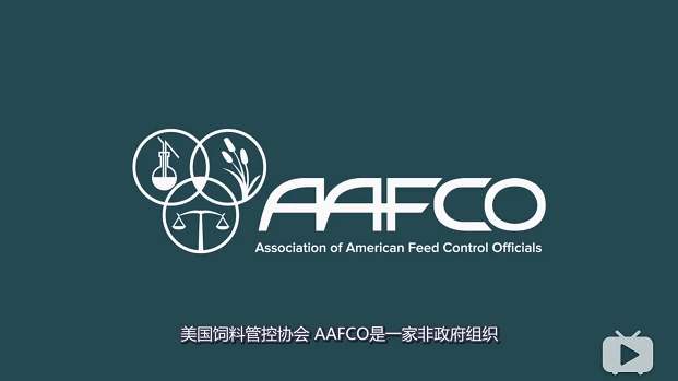 猫咪零食罐和主食罐的区别,猫咪主食罐和零食罐区别