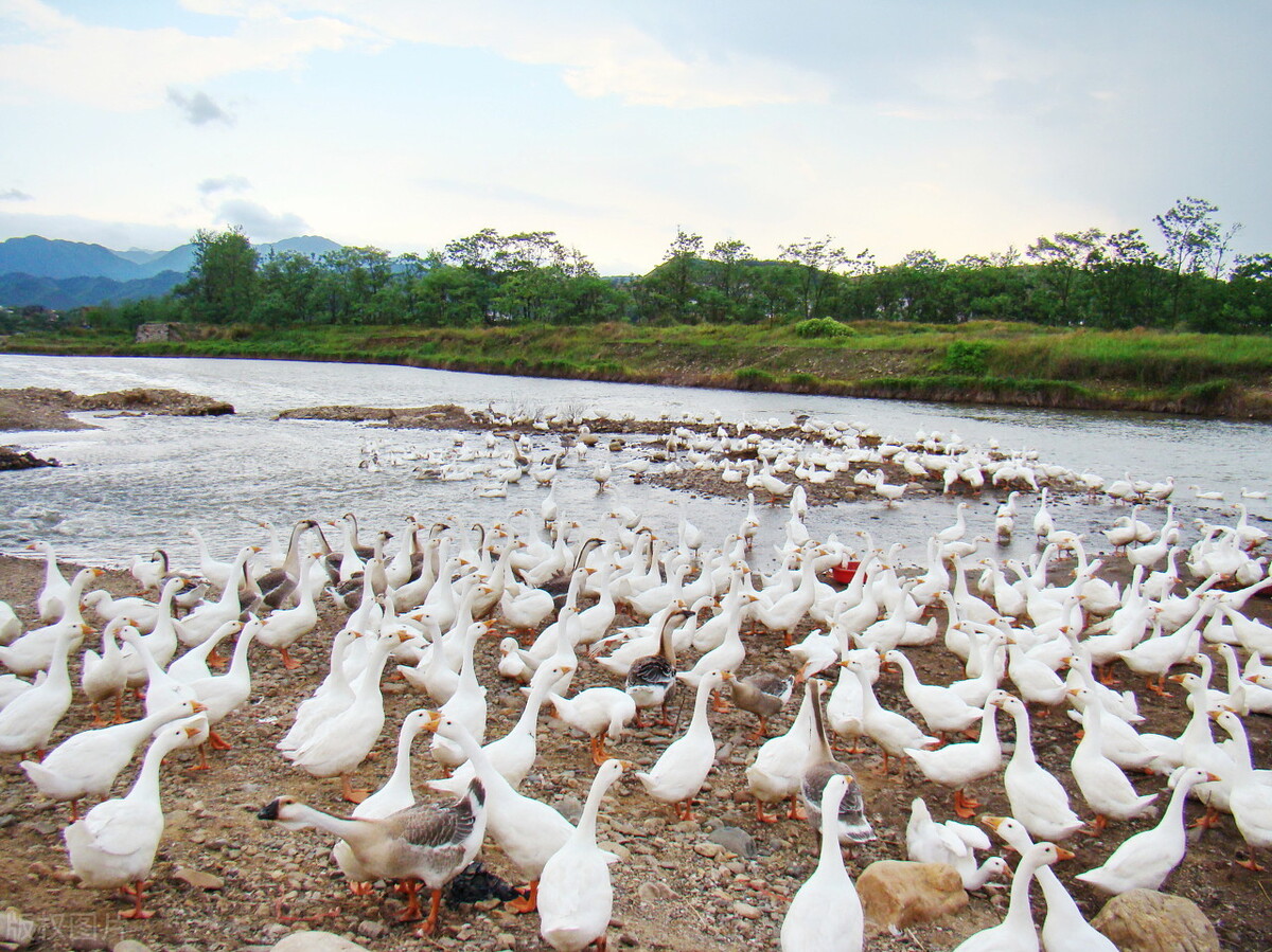 菏泽50个项目投资4百多亿,山东2024年重大项目名单菏泽