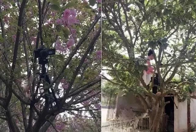 女教师辞职信朋友圈,女教师因一封辞职信走红网络