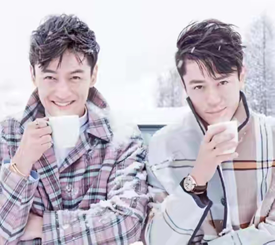 陆毅王炸电视剧百科,王炸电视剧陆毅