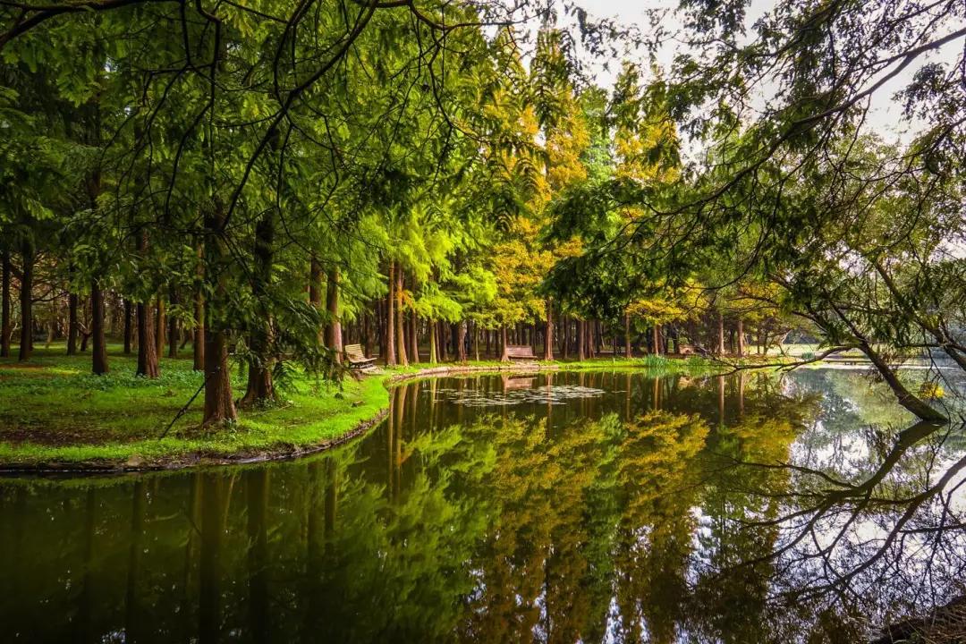 这里是遂宁,射洪介绍