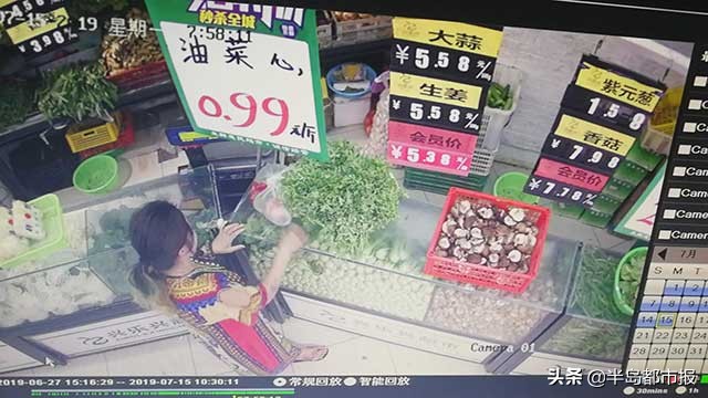 偷菜上瘾,农场偷菜被监控视频