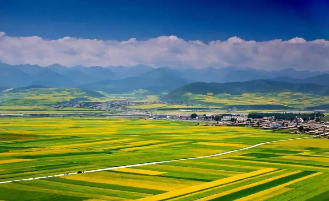 最适合赏花的花,视觉盛宴五种赏花名花供您选择