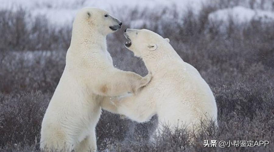 别人打我了我该怎么办,被人打了我们该怎么办