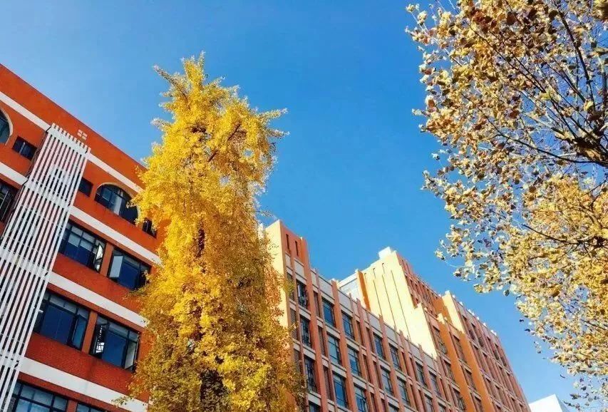 武汉市十大美丽中学,武汉十大美丽学校