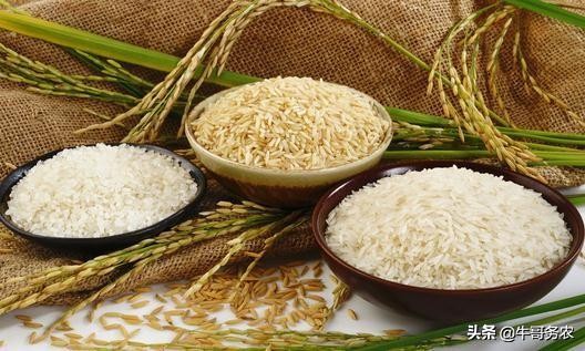 碾米机提升机工作原理,碾米机提升机换皮教程视频