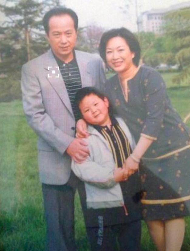 罗京去世十年妻子改嫁富商,罗京去世十年妻子改嫁富商母亲