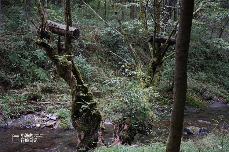深藏在秦岭中的山水秘境,秦岭山中藏了一个世外桃源
