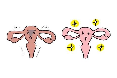 调经促孕十三针治疗卵巢早衰,调经促孕十三针有效吗