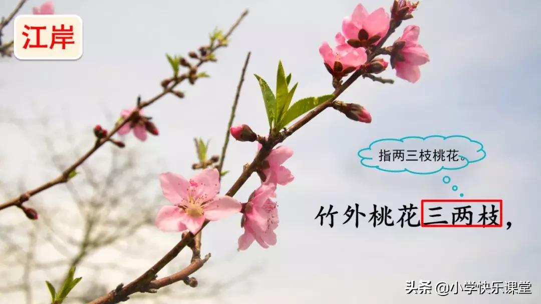 寒假预习部编版本1-3年级,寒假预习课文二年级下