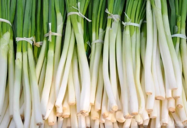 又一条高铁进入规划,运城高铁新增二条新路