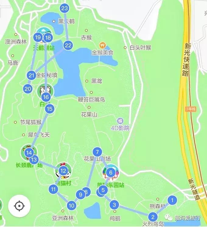 广州长隆野生动物园全程步行攻略,2天游玩广州长隆野生动物园攻略