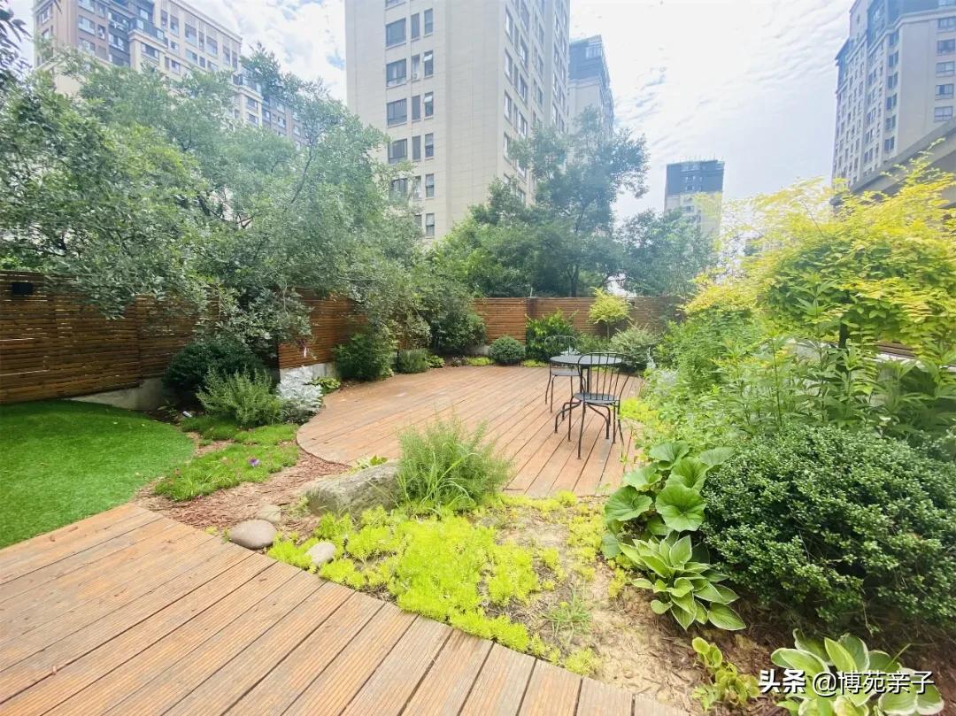 0到3岁的孩子教育多重要？教育专家云飞亲临潍坊，传授育儿经