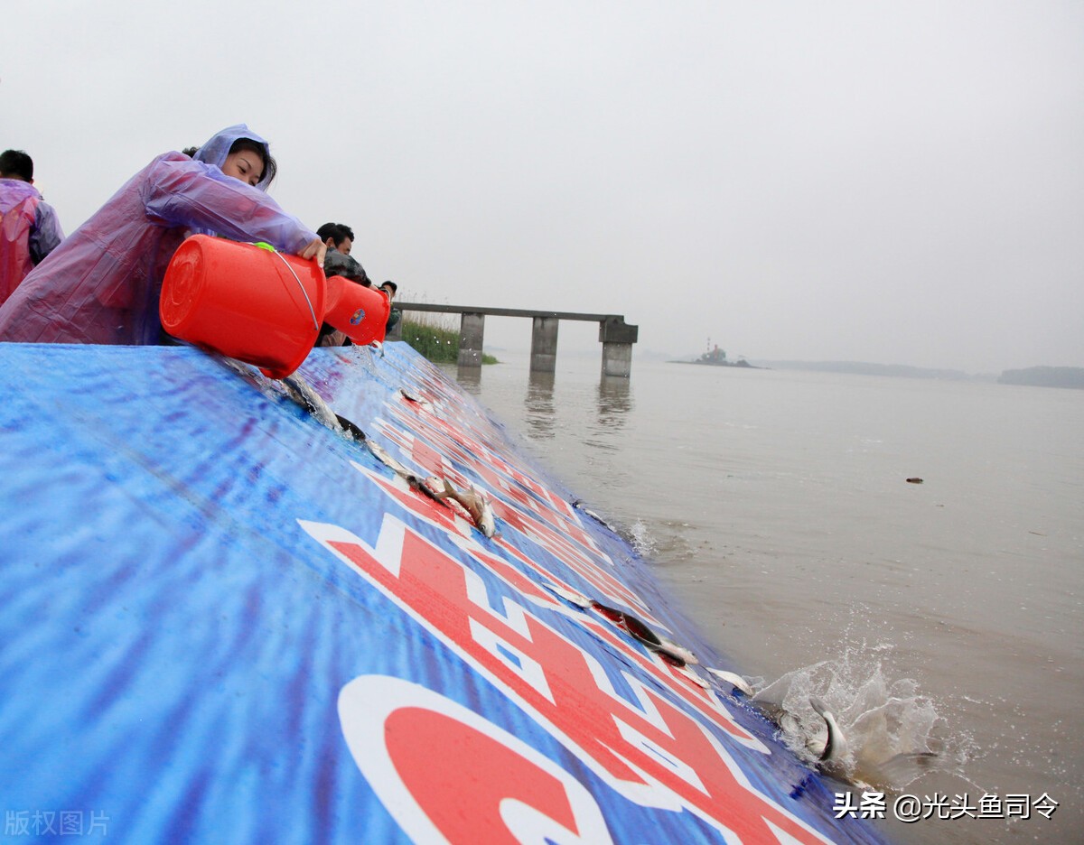 早上钓鱼被抓,在河边钓鱼小心被抓