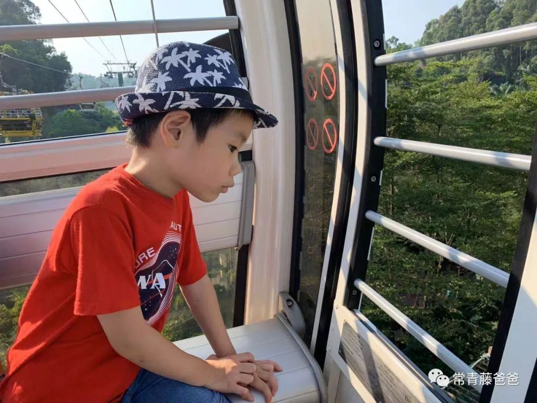 广州长隆游玩攻略水上乐园怎么去,过年去珠海长隆海洋王国游玩攻略