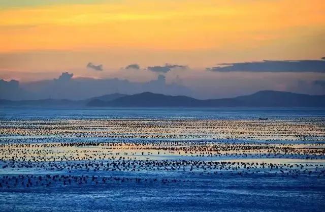 上海附近适合三五天游玩的海岛,离上海最近的绝美海岛