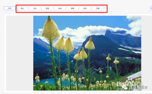 ps没有抽出滤镜抠图,ps抽出滤镜下载