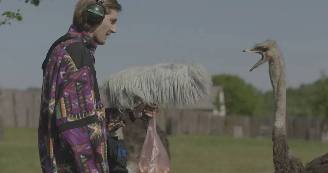 强烈推荐这几部必看的好片,千万不要错过的一部好片