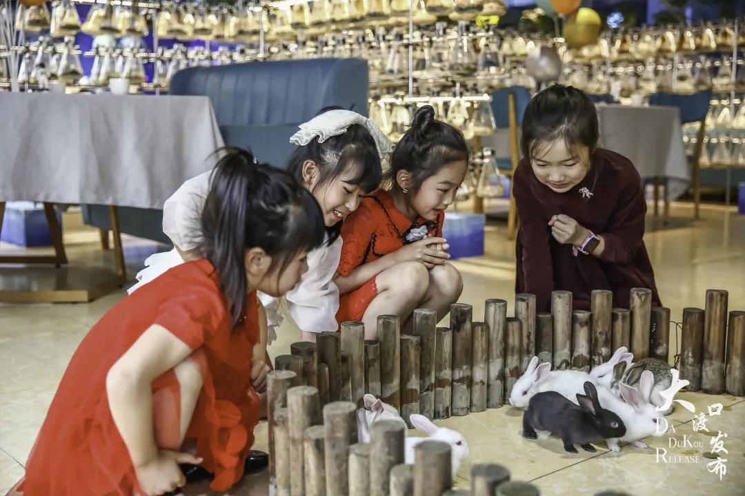 大渡口太空梦幻农场,大渡口万达广场太空梦幻农场