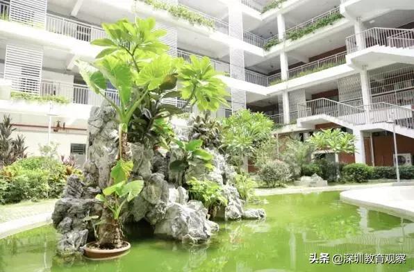 深圳福田小学与南园小学哪个好,深圳八一小学