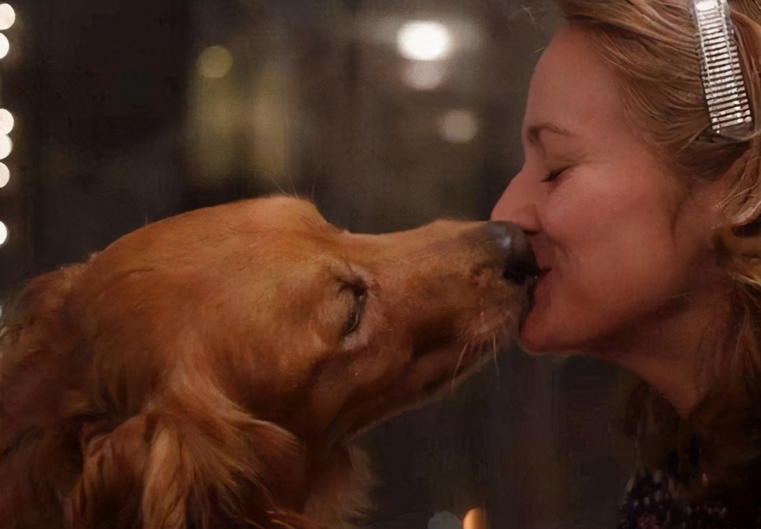 狗狗为什么爱舔主人的唾液,狗狗为什么爱舔自己的手脚