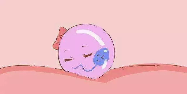 孕早期出血是流产吗？胎儿还能保住吗？