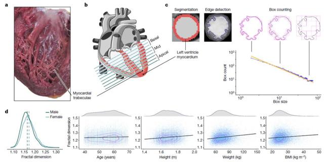 达芬奇密码被解开了吗,达芬奇密码2010