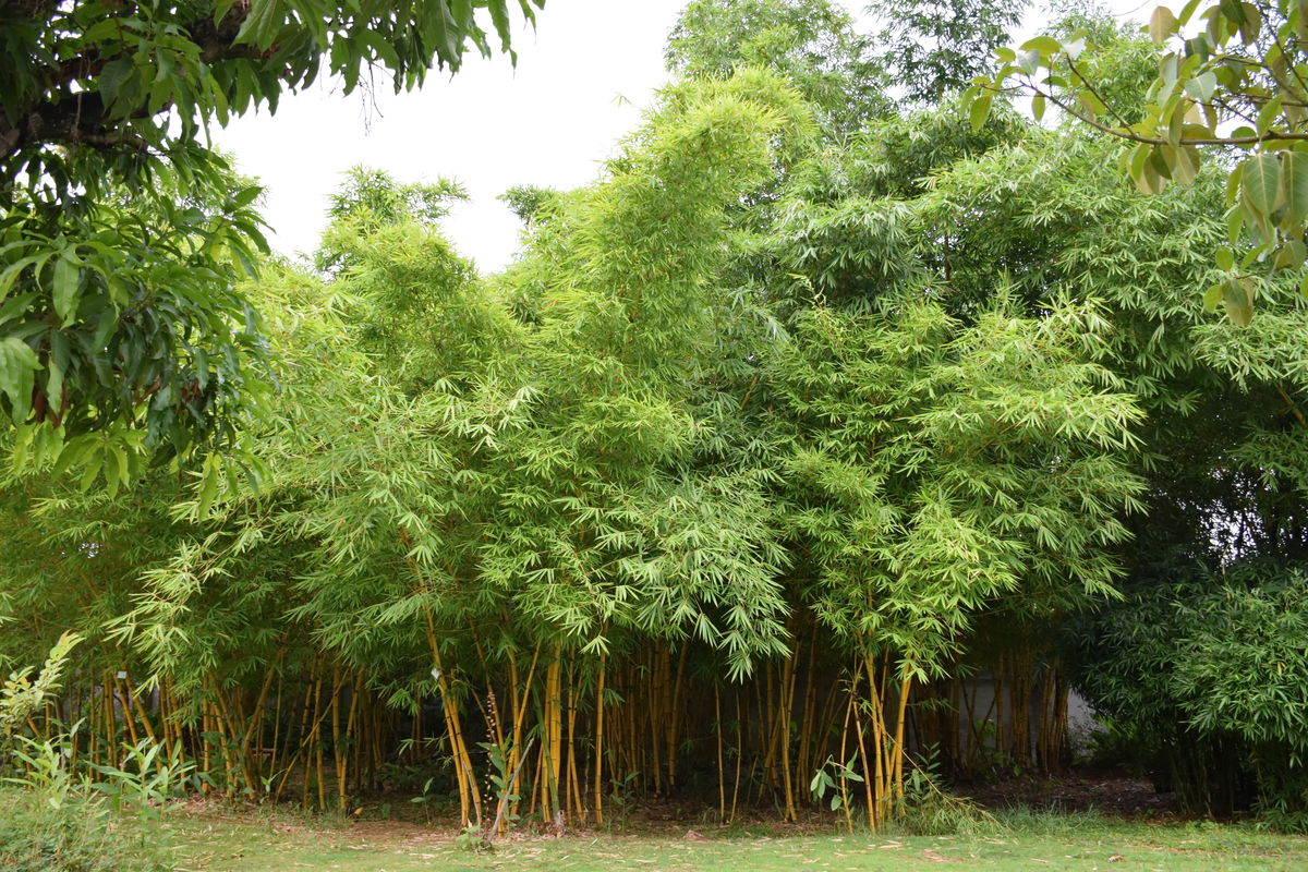 笠翁对韵中的精美词句,笠翁对韵的国学心得