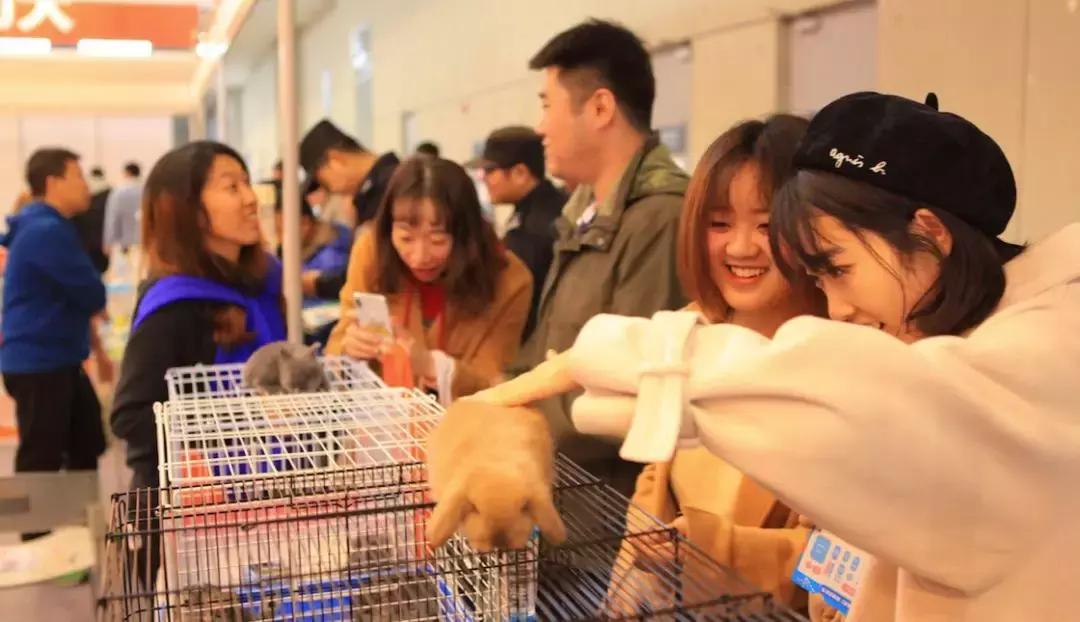 2019年第161届中国宠物文化节,2018年宠物文化节