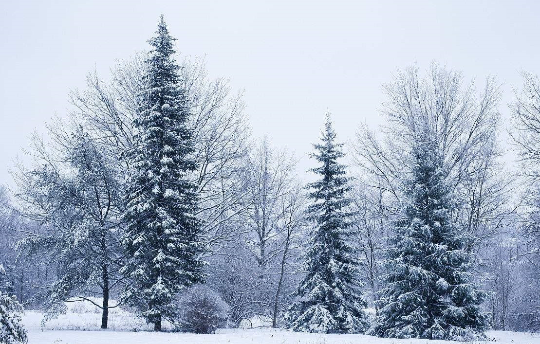 地球南北半球的冬夏,地球的四季都是春夏秋冬吗