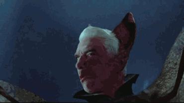 世界最大的蝙蝠是什么蝙蝠,世界上最大的一个蝙蝠的图片