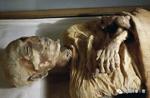 埃及未解之谜奇闻异事,古埃及十大奇葩神秘事件