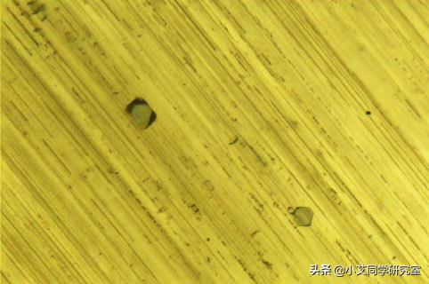 黄色的猫眼宝石有哪些,真正的天然猫眼宝石