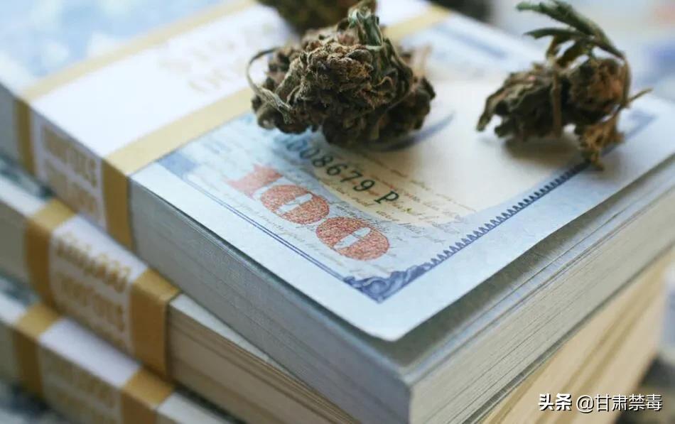 亚洲国家对医用*麻大**开设“绿灯”是突破防线吗?