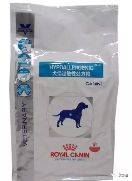 毛孩子偷吃东西被发现,毛孩子吃东西被发现了