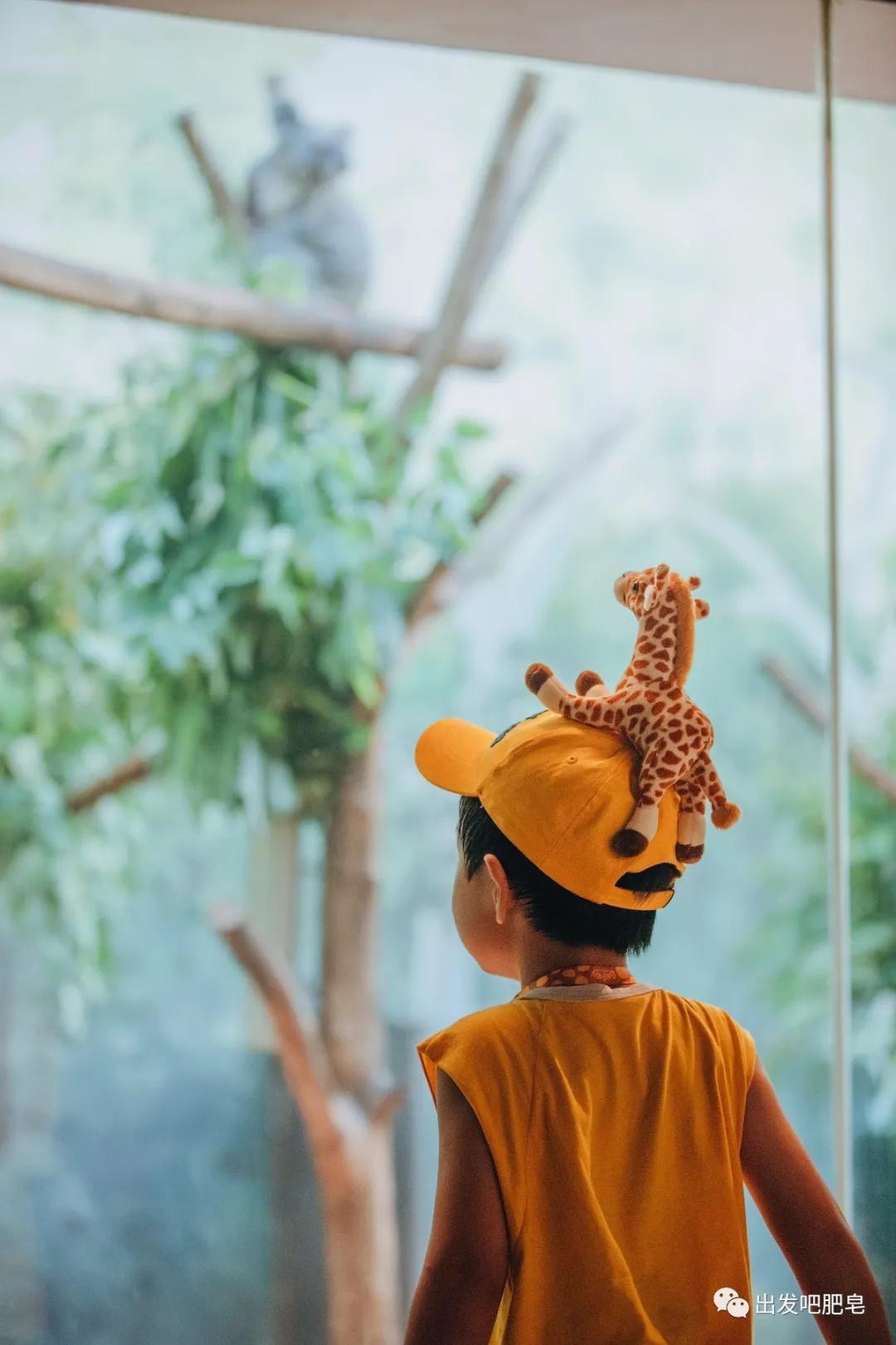 长隆飞鸟乐园怎么去长隆欢乐世界,汉溪长隆地铁站去长隆飞鸟乐园