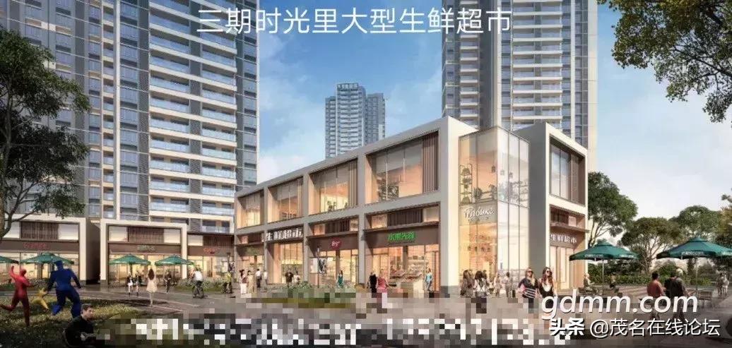 茂名有多少大型综合体,茂名好心湖畔田园综合体