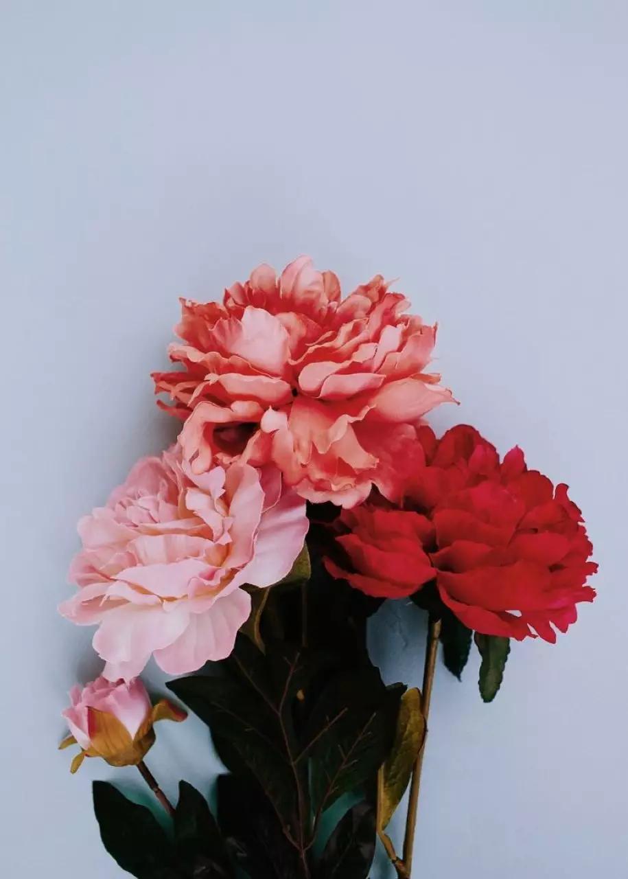 怎样挑选适合自己的香水,如何挑选自己的第一款香水