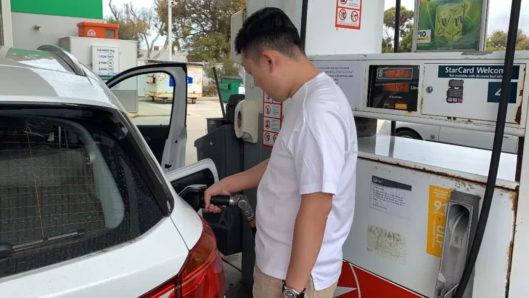 这地方是男人天堂,我们的大宝马也怕了