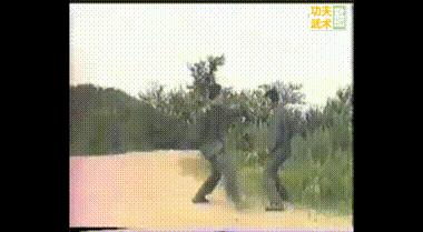 叶底偷桃vs海底捞月,黑龙十八手第四招叶底偷桃