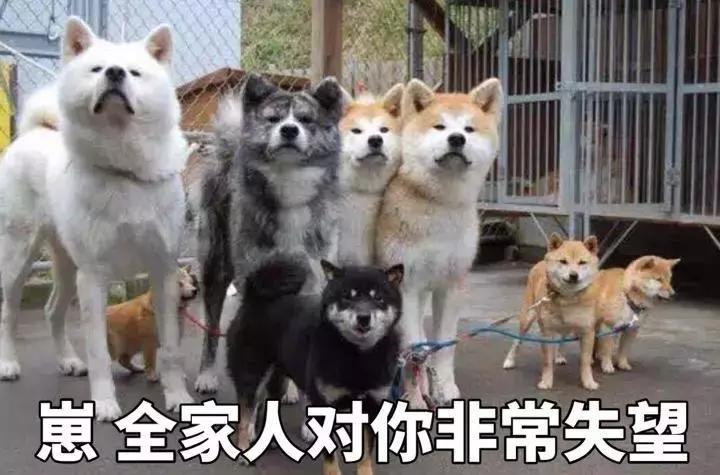 qq会员极速新专享,qq会员最新活动购买攻略