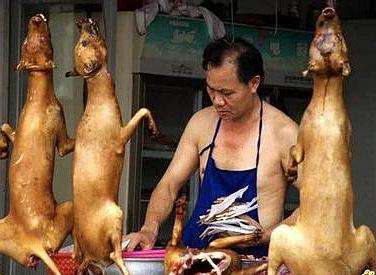 吃狗肉的12个禁忌,食狗肉的100个禁忌