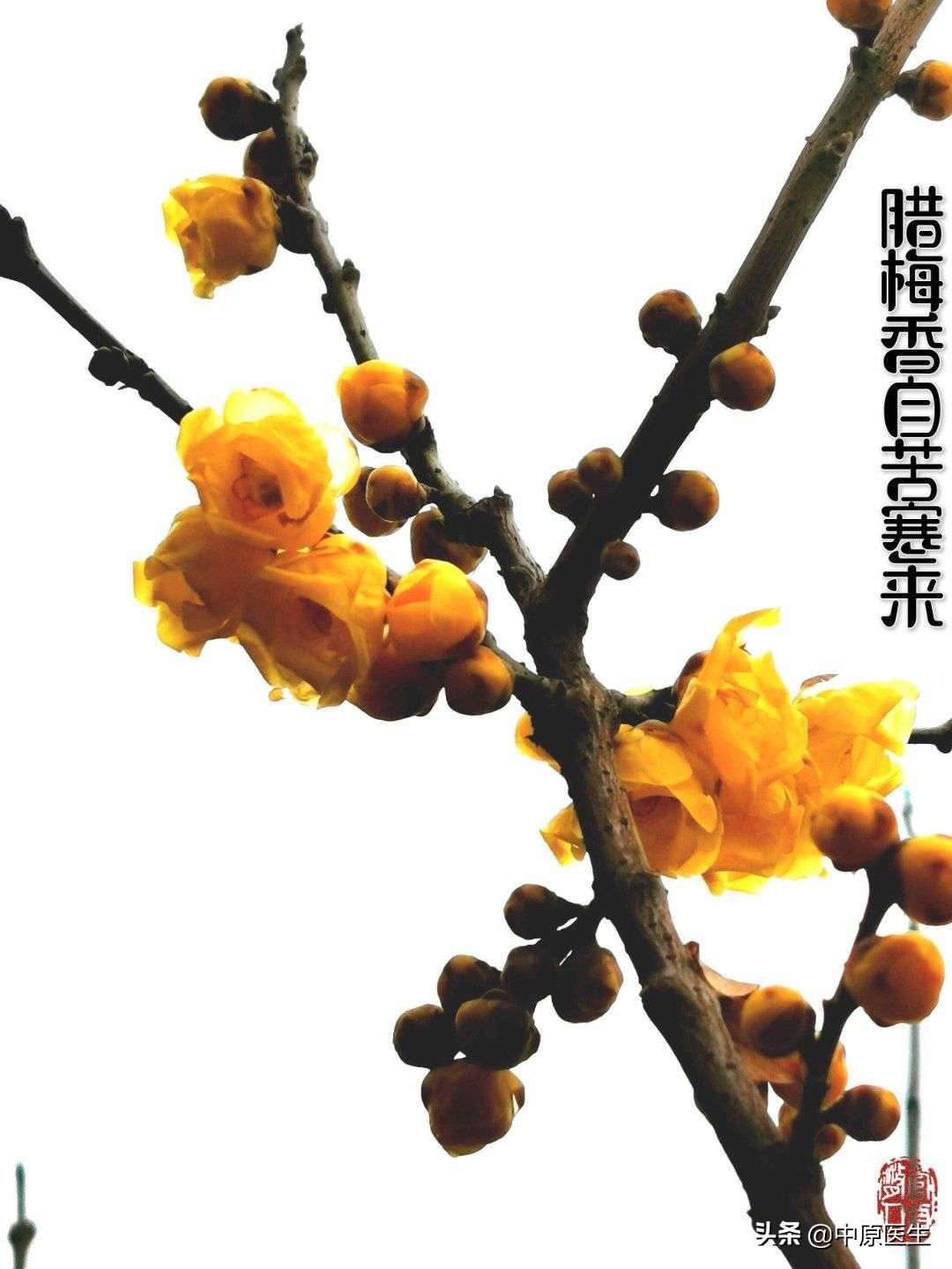 如何讲解传染病的特点,如何鉴别传染病的方法