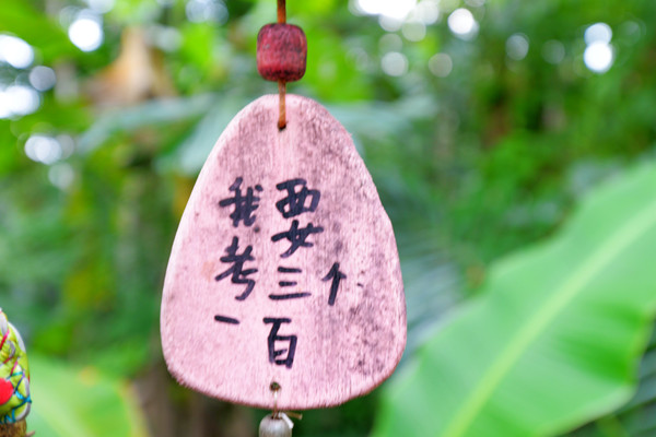 海南呀诺达热带雨林文化旅,三亚诺达雨林旅游攻略