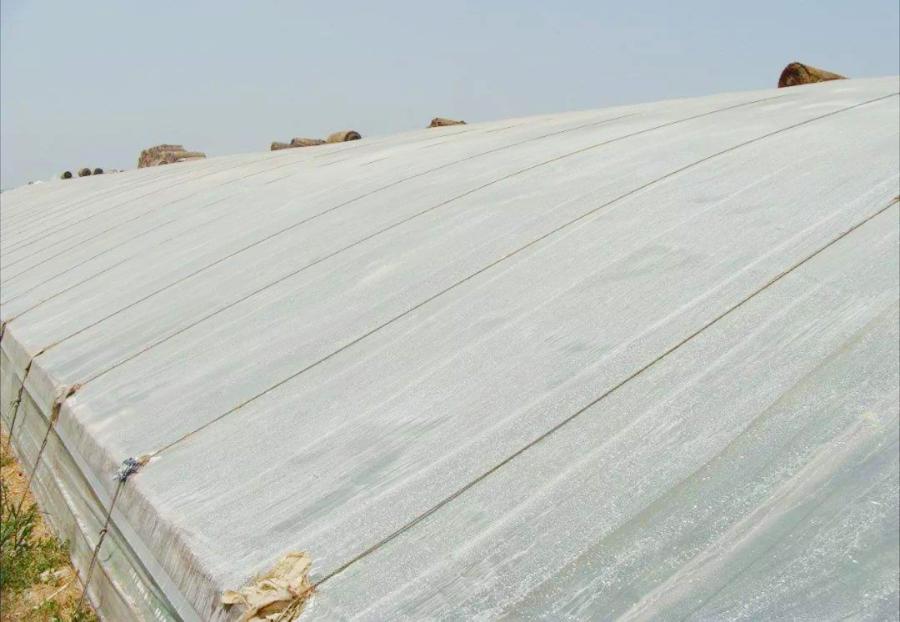 南瓜化瓜最有效的土办法,菜瓜怎么用最有效