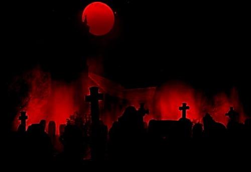 我死了你怎么办搞笑回复,我死了你怎么办