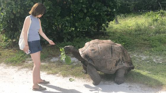 塞舌尔旅行体验,塞舌尔海岛游记