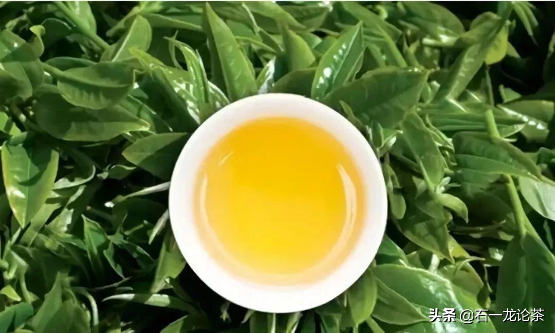 勐库戎氏邦界普洱茶,勐库戎氏问鼎冰岛龙珠