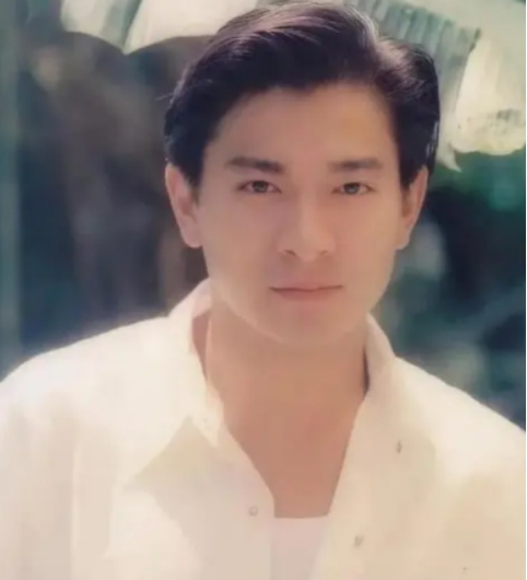 苦心经营的形象一下崩塌,刘德华事业落魄如何逆袭