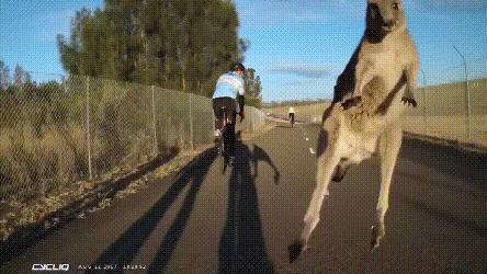 澳洲无人机外卖,无人机送外卖真的很难吗